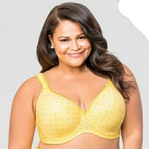 Limited Ashley Stewart Butterfly Bra